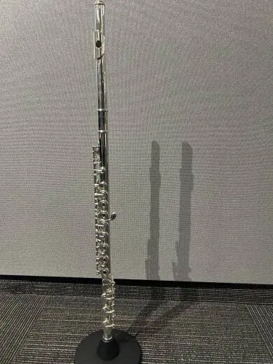 Store Special Product - Yamaha Band - YFL482H
