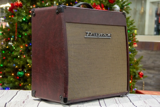 Traynor - YCV20WR All Tube Guitar Amp 2