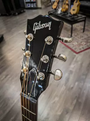 Gibson - AC4519VSNH 2