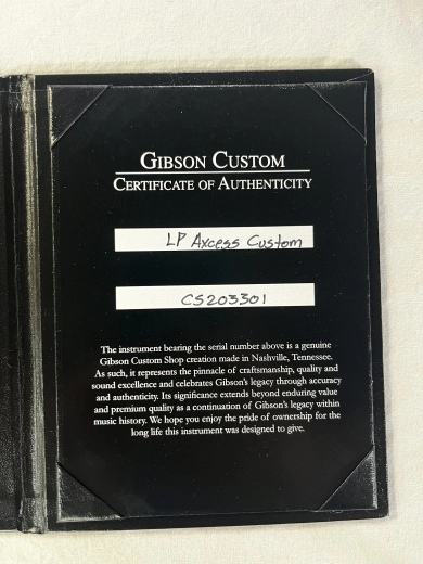 Gibson Les Paul Axcess Custom - Floyd Rose - Silverburst 2