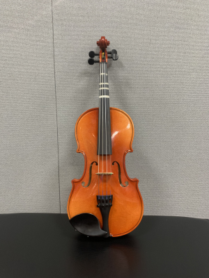 Schoenbach 220 1/2 Violin Outfit