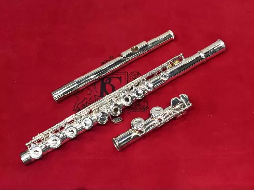Yamaha Band - YFL361 Open Hole Flute Outfit