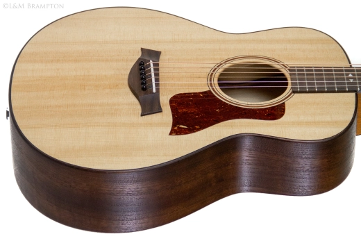 Taylor Guitars - Grand Theatre Electric/Acoustic Guitar 2