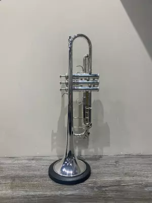 Yamaha Band - YTR8335GSII 2