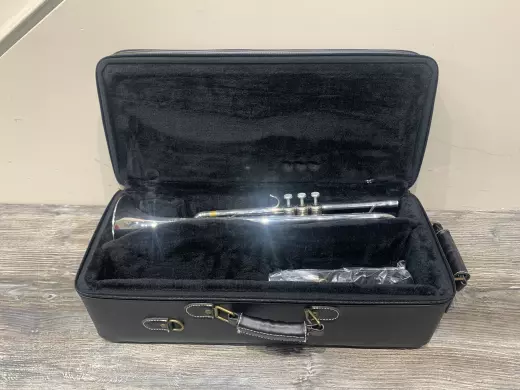Yamaha Band - YTR8335GSII 2