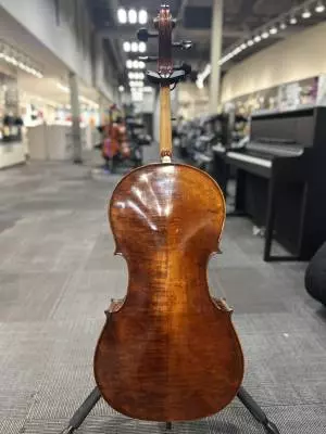 Eastman Strings - VC305 4/4 Deluxe Carved Cello Outfit 2