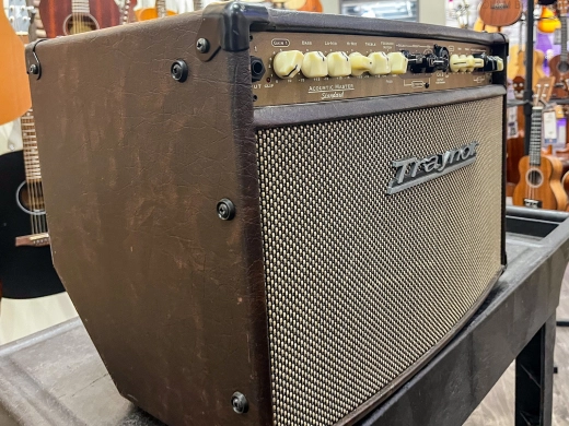 Traynor - AMSTANDARD Acoustic Guitar Combo Amplifier 2