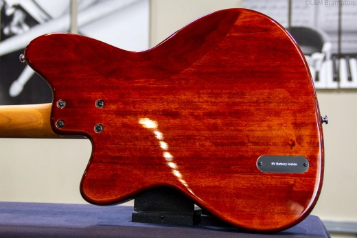 Ibanez - Talman 4 String Bass - Iced Americano Burst 2
