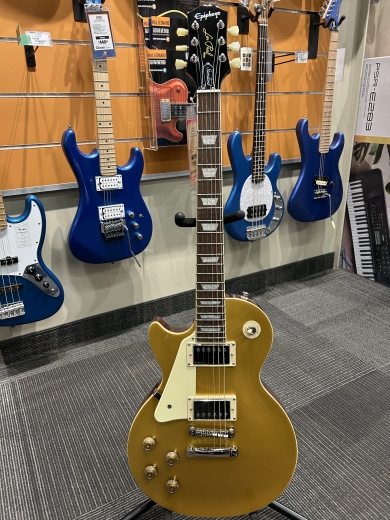 Epiphone - EILS5MGNHLH