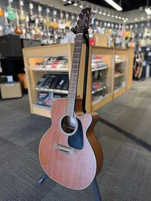 Takamine - Acoustic Guitar