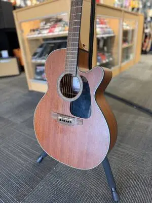Takamine - Acoustic Guitar 2