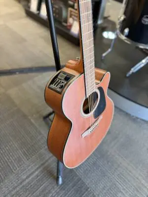 Takamine - Acoustic Guitar 2
