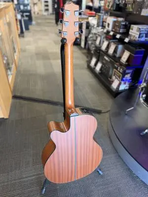 Takamine - Acoustic Guitar 2