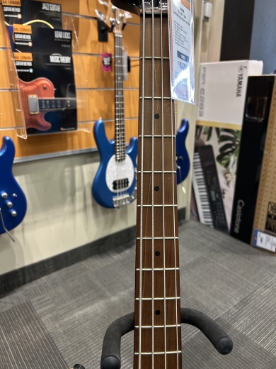 Squier Contemporary Active Jazz Bass HH, Roasted Maple Fingerboard - Shoreline Gold - 037-0451-544 3