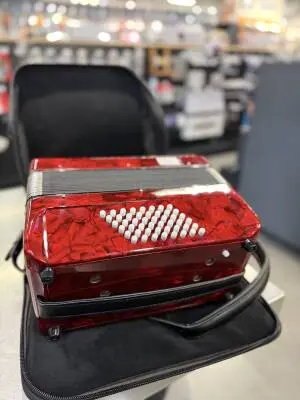 Hohner - Piano Accordion 2