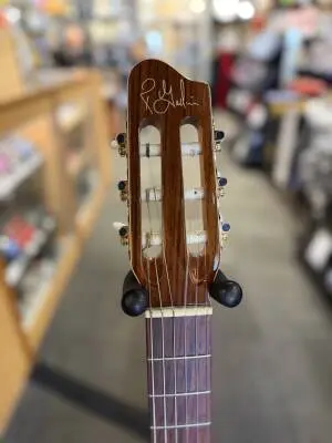 Godin Guitars - Godin Arena Mahogany CW 2