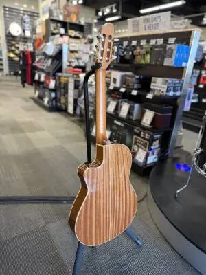Godin Guitars - Godin Arena Mahogany CW 2