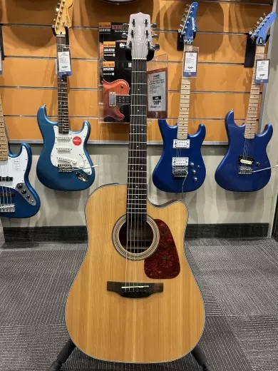 Takamine - GD10CE-NS