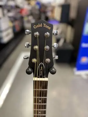 Gold Tone - Banjitar 2