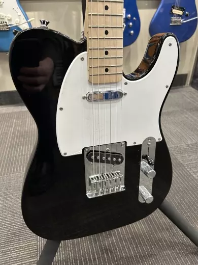 Squier - 037-3452-506 2