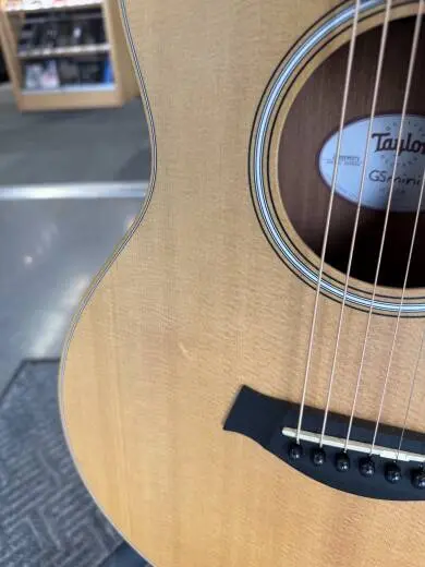Taylor Guitars - GS MINI 2