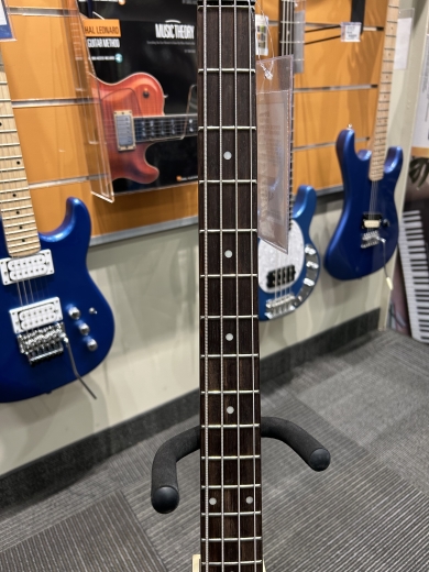 Store Special Product - Epiphone - EBVIVSCH