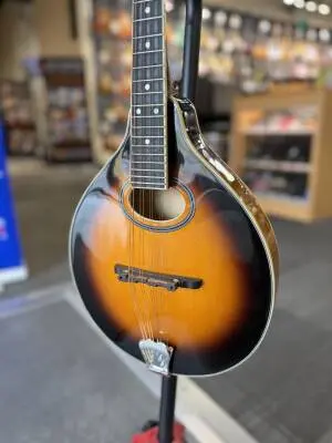 Gold Tone - Mandolin 2