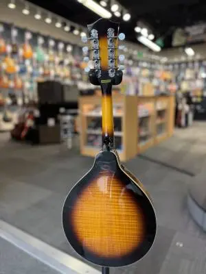Gold Tone - Mandolin 2