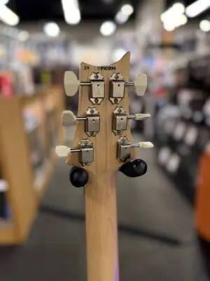 PRS Guitars - NF53 BLACK DOGHAIR 2