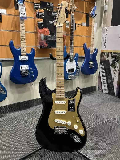 Store Special Product - Fender - 014-5302-506