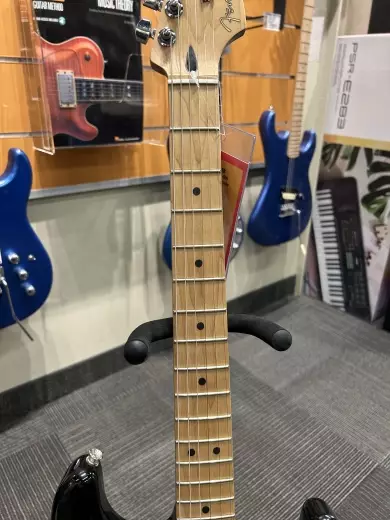 Fender - 014-5302-506 2