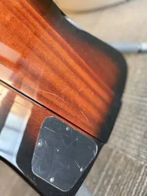 Epiphone - Thunderbird Bass 2