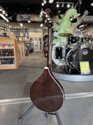 Gold Tone - BANJOLA/PLUS 2