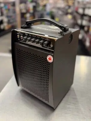 Traynor - Small Block Bass Amp