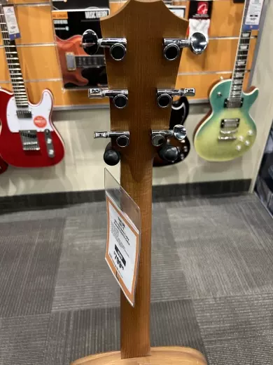 Taylor Guitars - BBT-E 2