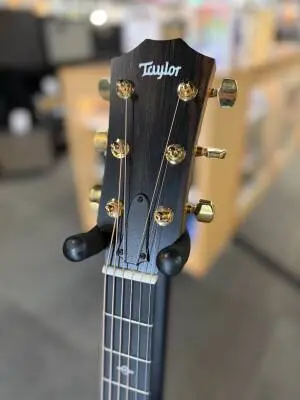 Taylor Guitars - 224CE-K DLX 2