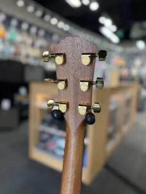 Taylor Guitars - 224CE-K DLX 2