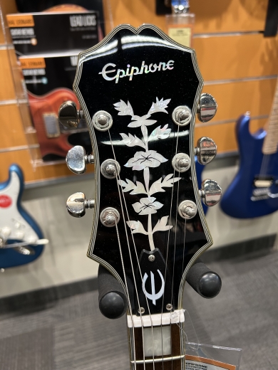 Epiphone SWINGSTAR (管理イキ) Epiphone Emperor Swingster フルアコギター エピフォン | 島村