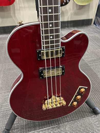 Gear Hunter | Epiphone Allen Woody Bass - Wine Red