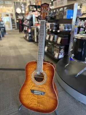 Washburn - Premium Acoustic Dreadnought
