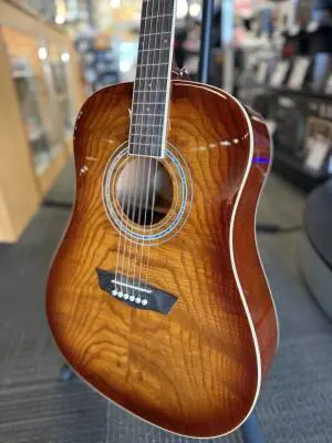 Washburn - Premium Acoustic Dreadnought 2