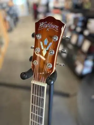 Washburn - Premium Acoustic Dreadnought 2