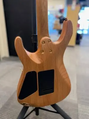 Charvel Guitars - 296-9016-557 2