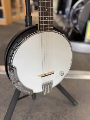 Gold Tone - Banjitar 2