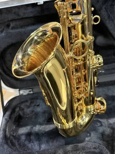 Carlton Alto Saxophone 2