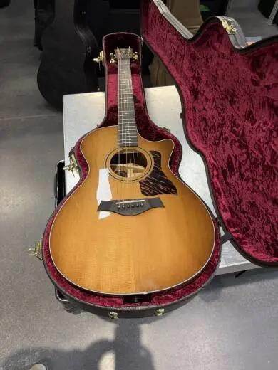 Taylor Guitars - 312CE 50TH LTD 2