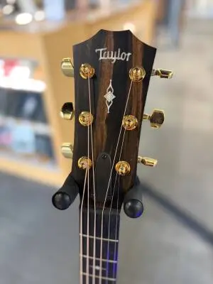 Taylor Guitars - 312CE 50TH LTD 2