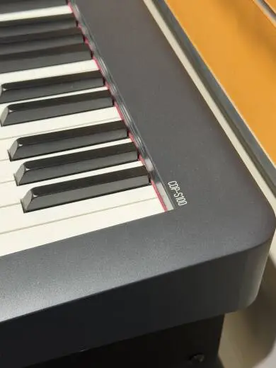 Casio Keyboard with Stand 2