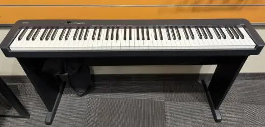 Casio Keyboard with Stand