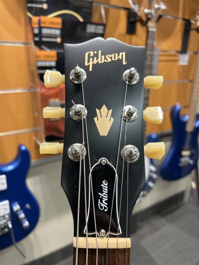 Store Special Product - Gibson - SGTR00VCNH